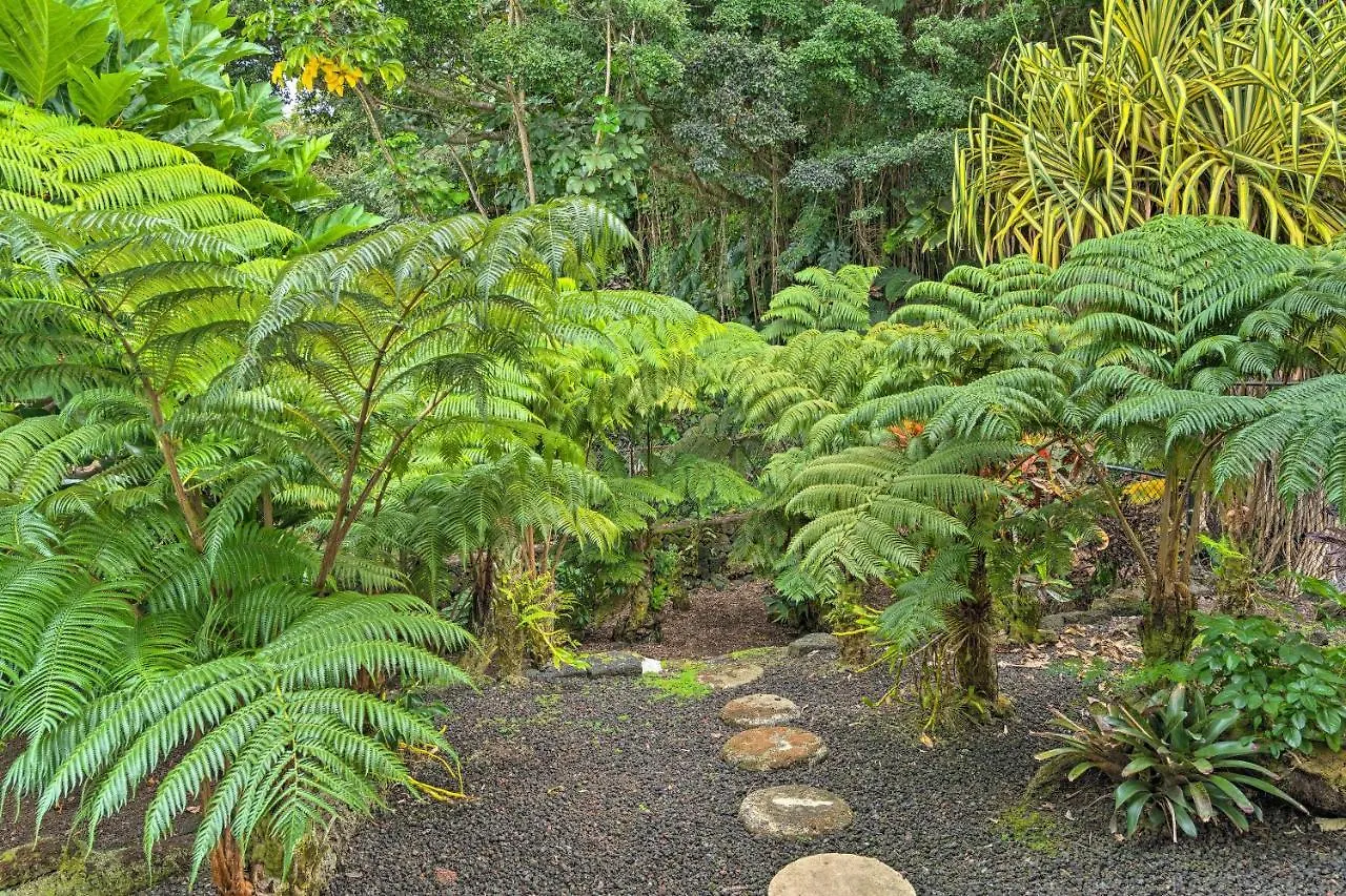 Holiday home Hilo Oasis - 32 Mi To Volcanoes National Park!